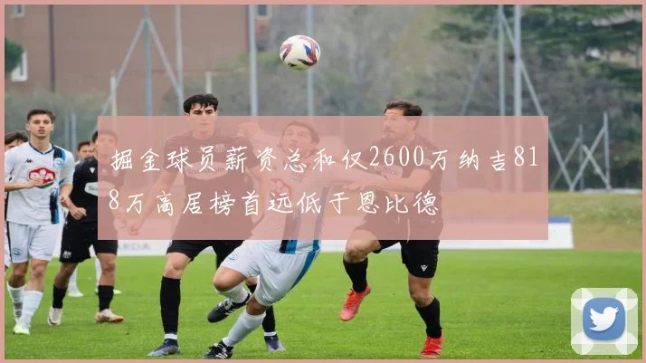 掘金球员薪资总和仅2600万纳吉818万高居榜首远低于恩比德