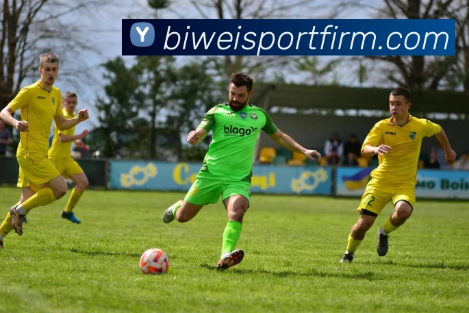 奖项图2